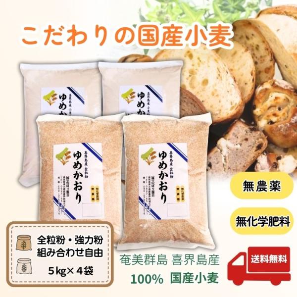 ◆◆喜界島から届く、パンづくりのためのこだわりの国産小麦粉◆◆喜界島の海風とサンゴ礁の大地が育んだ、希少な国産小麦「ゆめかおり」。  島の豊かな自然の中で丁寧に育て、手間をかけて乾燥・製粉しました。  国内でも希少なパン用硬質小麦「ゆめかお...