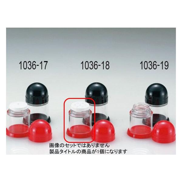 1036-18 XJbg1 RVE  496000110