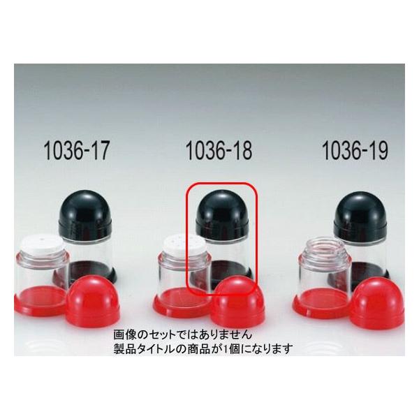 1036-18 XJbg1 RVE  496000120