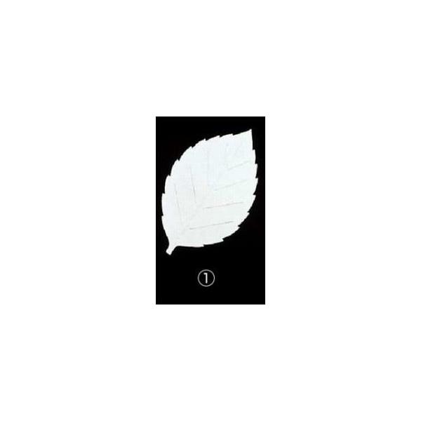 1100-05 Rۘa t`lGi200j (1)iLF-Sj 705000070