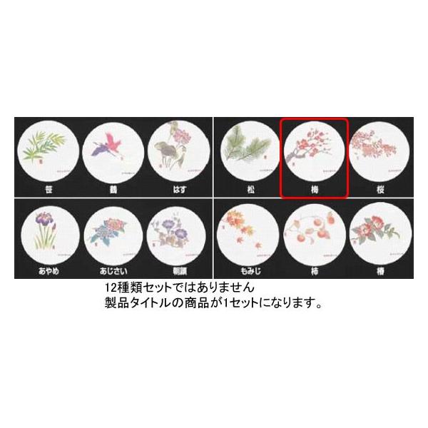 993-04 RۘaR[X^[lGi50j WCO-M2 ~ i1`2j 705000390