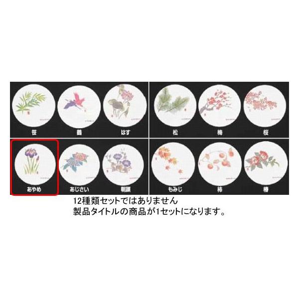 993-04 RۘaR[X^[lGi50j WCO-M4  i 5` 6j 705000410