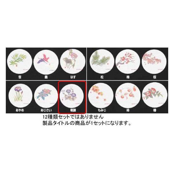 993-04 RۘaR[X^[lGi50j WCO-M6  i 7` 8j 705000430