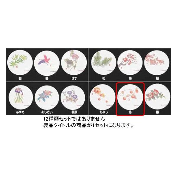 993-04 RۘaR[X^[lGi50j WCO-M8 ` i 9`11j 705000450
