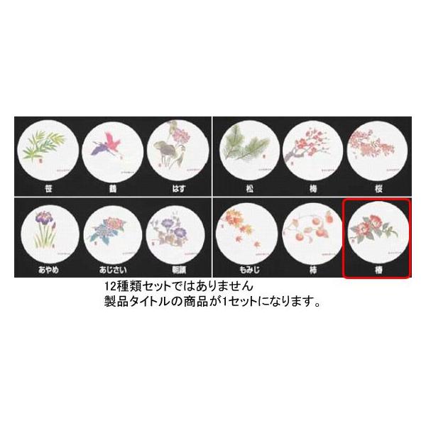 993-04 RۘaR[X^[lGi50j WCO-M9  i12` 2j 705000460