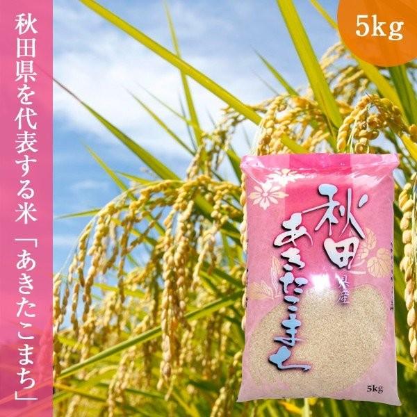 米 5kg 令和7年産　秋田あきたこまち5kg【20】
