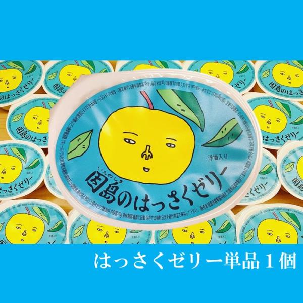 はっさくゼリー 単品 (1190016) : おいしい広島 ヤフー店 - 通販