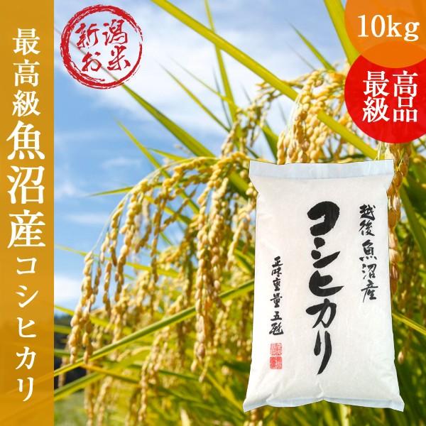 コシヒカリ 新潟県魚沼産 10kg(5kg×2) 令和6年度 新米 白米 ご
