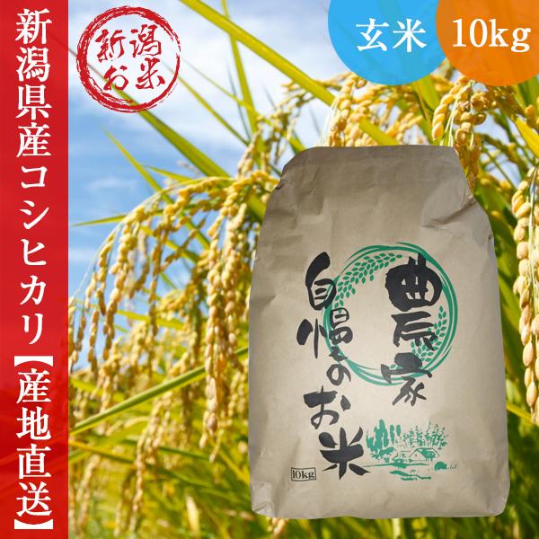 コシヒカリ 令和7年産 玄米 新米 新潟県産 10kg 送料無料 お米 低温