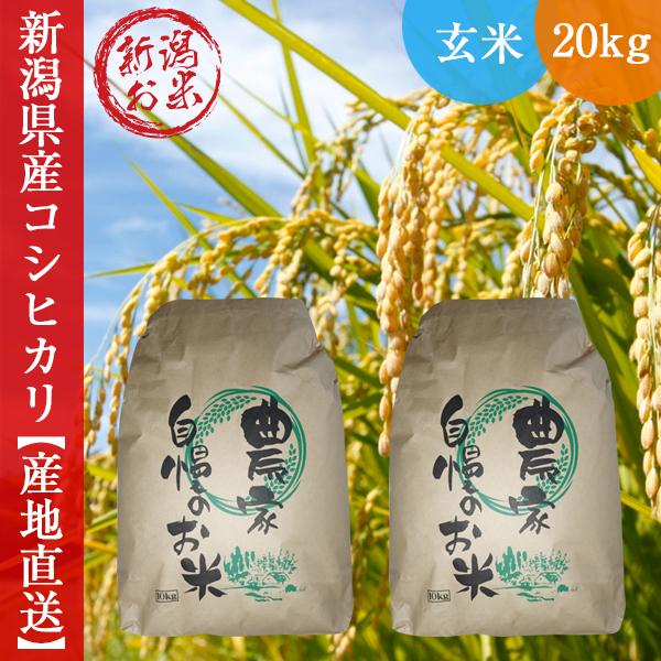 コシヒカリ 令和7年産 新米 玄米 新潟県産 低温冷蔵庫保存 20kg(10kg×2
