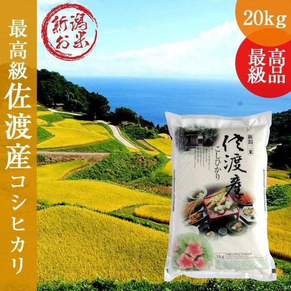 コシヒカリ 令和6年産 新米 佐渡産コシヒカリ 20kg(5kg×4) 新潟