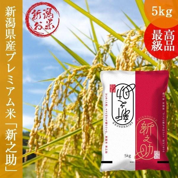 新之助（しんのすけ） 令和7年産 新潟県産 5kg 送料無料 : 新潟の
