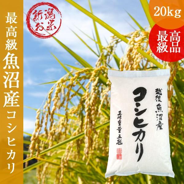 コシヒカリ 令和6年新米 新潟県 魚沼産 20kg(5kg×4) 白米 ご贈答