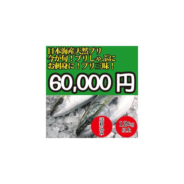 22年入荷次第発送開始 12kg以上 日本海産 ブリ 天然ブリ 生 1匹 Nihonkai Buri 12 美味しい魚ドットネット 通販 Yahoo ショッピング