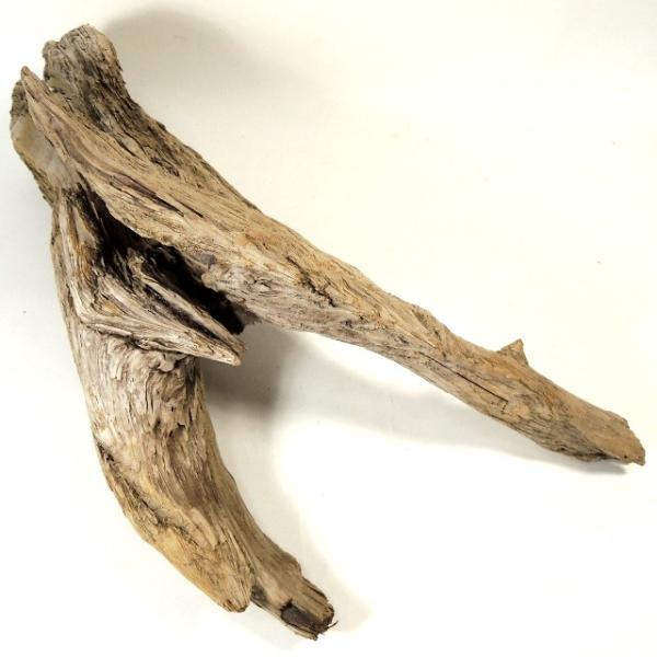 流木水槽レイアウトatf M 水槽60cm向き 飼育ケージ 変形流木 流木素材 ディスプレイ 洗浄済み無加工 塩分ゼロ 送料無料 一部除く 返金保証 長良川流木 Skilledstaffsources Com