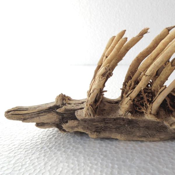 流木オブジェob1 インテリア 雑貨 アート ディスプレイ ガーデニング 素材 送料無料 返金保証 長良川流木専門店 流木と流木 Buyee Buyee Japanese Proxy Service Buy From Japan Bot Online