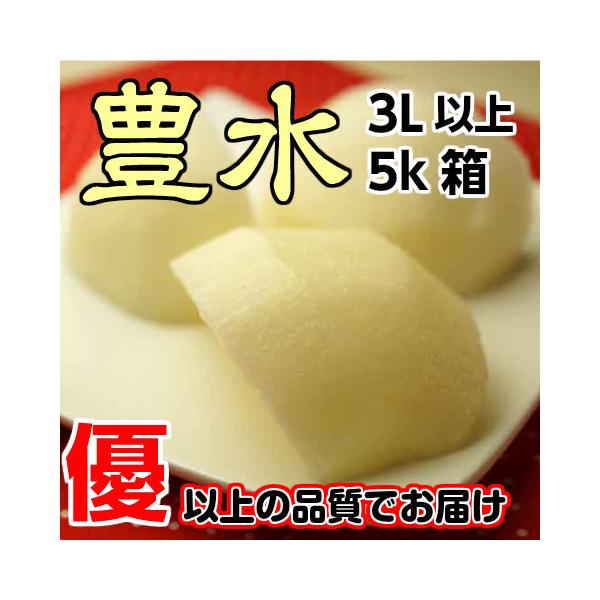 訳あり 梨 豊水 なし 完熟 豊水梨 優 3L以上 5kg箱  数量限定 ご自宅用 茨城県産 和梨 Japanese pear