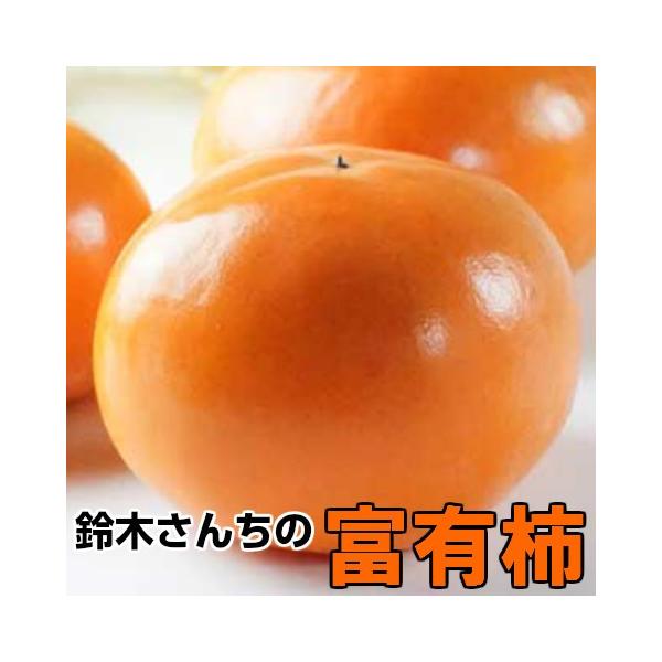柿 ギフト 富有柿 鈴木さんちの柿 約4kg16玉 かき 富有  贈答用 茨城県 産地直送 persimmon