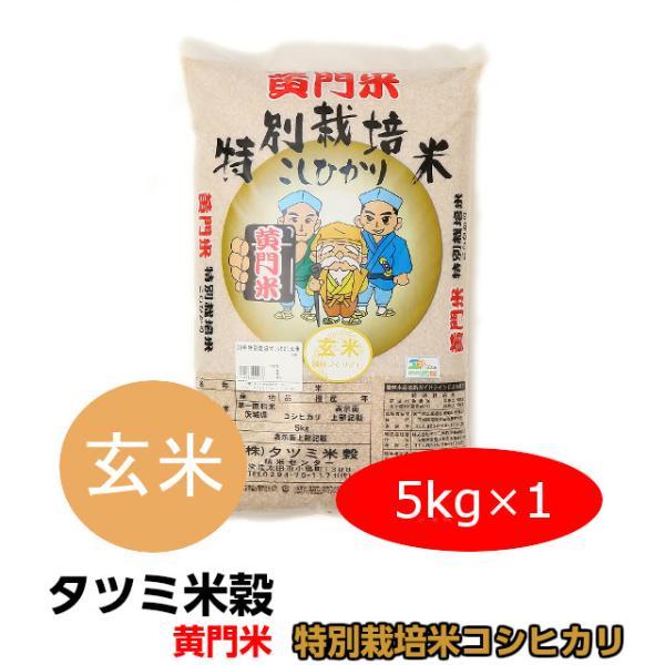 爆買 米 5kg  米 コシヒカリ こしひかり 黄門米 特別栽培米 玄米 5kg 令和7年産 ギフト 茨城県 お米 こめ おこめ