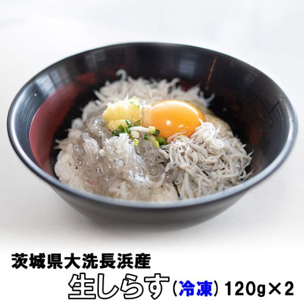 ≪魚政 生しらす240g(120×2)≫本場、大洗前浜の「しらす」　是非お試しください！生しらす200g(100×2)（茨城県大洗港前浜）　ギフトにも最適！※放射性物質物質検査済み【不検出】　安心してお召し上がりください。　ギフトにも最適！...