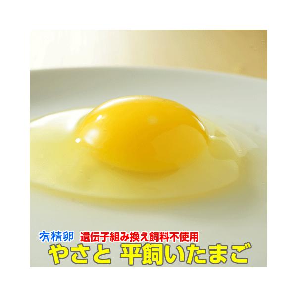【やさと平飼いたまご】有精卵 クール便お届け■送料無料■サイズと入数：M 20個〜180個入からお選びください。　※有精卵は、雌100羽に対して雄5羽以上で飼育するため有精確率が高い卵です■産み立て新鮮・産地直送/安全安心！■環境保全 地域...