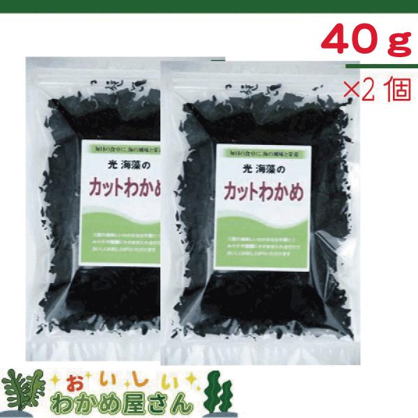 三陸産　乾燥カットわかめ　40ｇ×2個　国産　キャッシュレス決済限定商品　レターパック