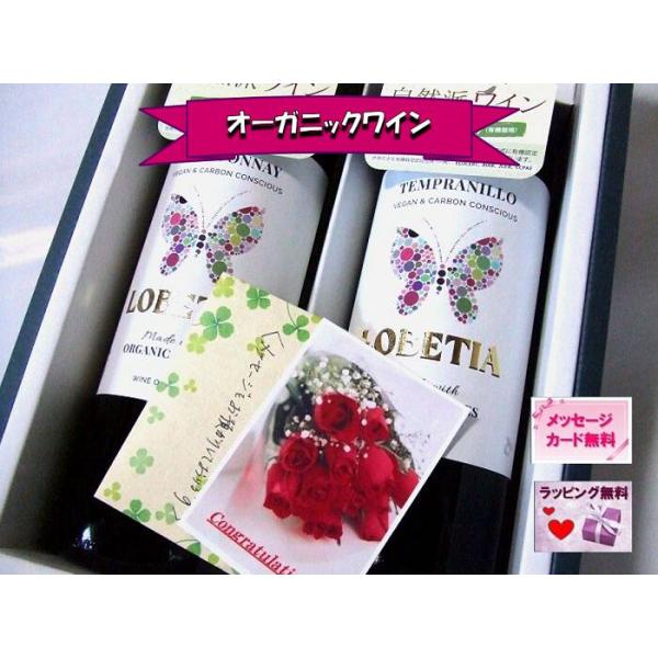 ハロウィン ギフト オーガニックワイン ワイン ワインセット スペイン辛口赤白2本詰め【全品ラッピング／赤2本可／のし・フリーメッセージ無料】