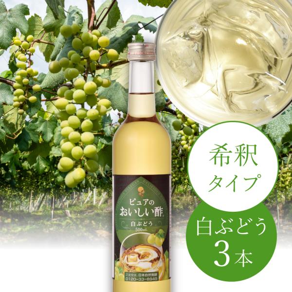 おいしい酢フルーツビネガー 白ぶどう 日本自然発酵 500ml×3本 お酢飲料 フルーツビネガー 果実酢 飲む酢 ビネガードリンク ドリンク