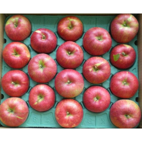  VimXC[gL@엿͔|Tkg ƒp