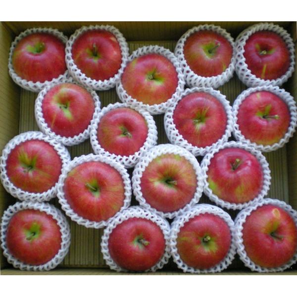  Tӂ L@엿͔| Tkg育ƒp