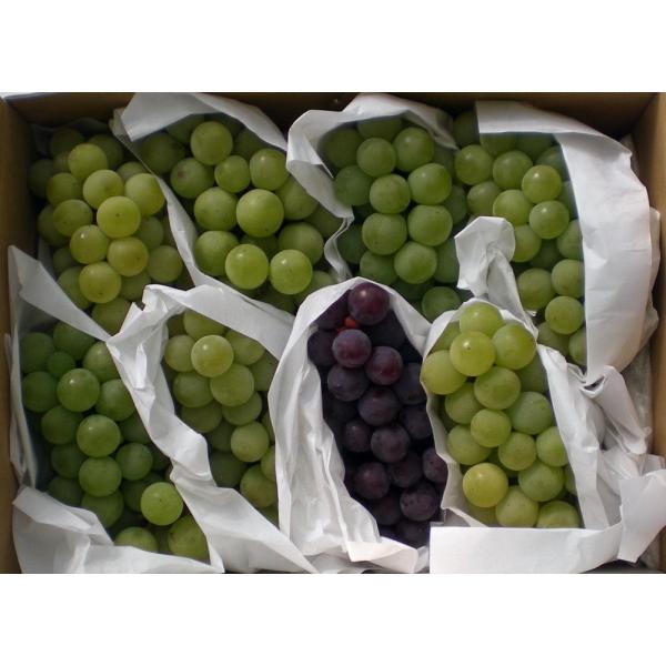 ぶどう ナイアガラ種セット2kg箱入り 葡萄 ブドウ ナイアガラ レッドナイアガラ 信州産 Buyee Buyee 日本の通販商品 オークションの代理入札 代理購入
