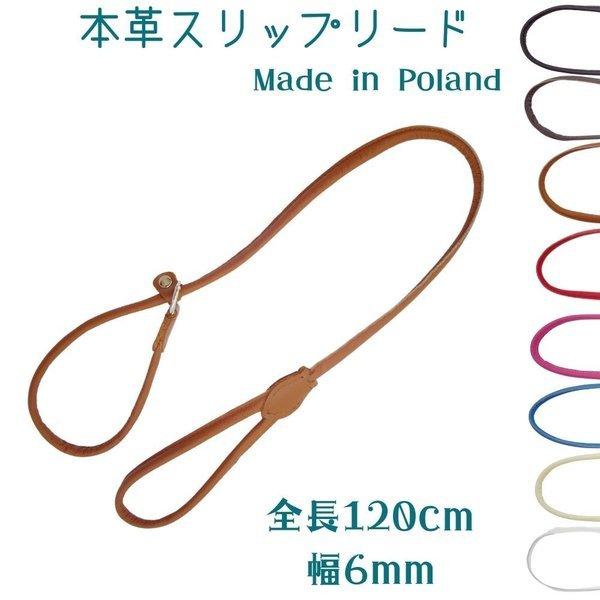 犬用 首輪とリードが1つになったスリップリード チョークカラー フルチョーク 本革 ナッパーレザー 小型犬 中型犬 大型犬  ZOOleszcz ゾーレシチ