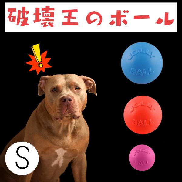 よく弾む丈夫な犬用ボール。ガシガシ噛んでもパンクしません。馬やパンダのおもちゃとして利用されるほど丈夫で頑丈。弾んで、水にも強い万能ボール。Jolly Petsの中でも一番人気のシンプルで丸いボールなので、ジョリーペットデビューにオススメ。...