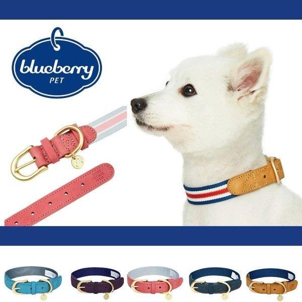 Blueberry Pet ブルーベリーペット アラモード 犬用首輪 Mサイズ Bp Am Dc M オジコペット 通販 Yahoo ショッピング
