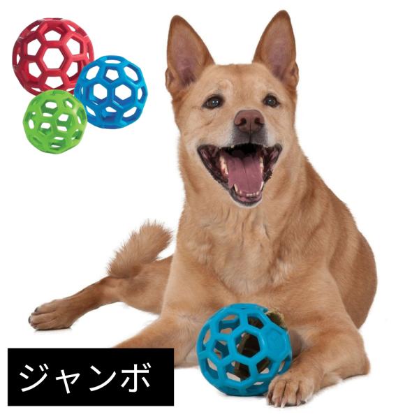 犬用 ボール ホーリーローラー [ジャンボ] おもちゃ ゴム トリーツ