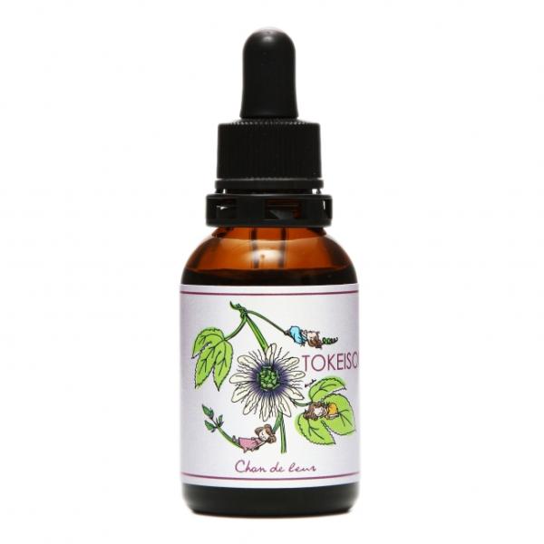 あなたに眠りを誘う果実の雫。不安や緊張を解いて気持ちを鎮め、リラックスできるようになります。穏やかな時間の中でゆったりとした時を過ごせる柔らかなエネルギーです。とても華やかで人目をひくパッションフラワーは、日本語では『時計草』と呼ばれていま...