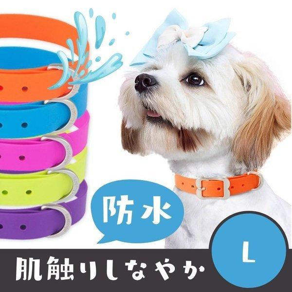 レッドディンゴ2点300円オフ 犬用 首輪 防水 Pvc L アウトドア 送料無料 おしゃれ 軽い 超大型犬 大型犬 中型犬 Reddingo Rd Dc Pvc 50 オジコペット 通販 Yahoo ショッピング