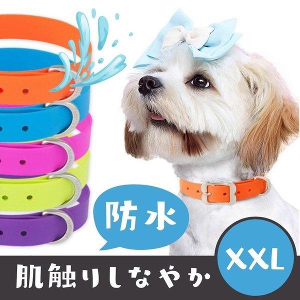 犬用 首輪 防水 PVC XXL アウトドア 送料無料 おしゃれ 軽い 超大型犬 大型犬 中型犬 Reddingo