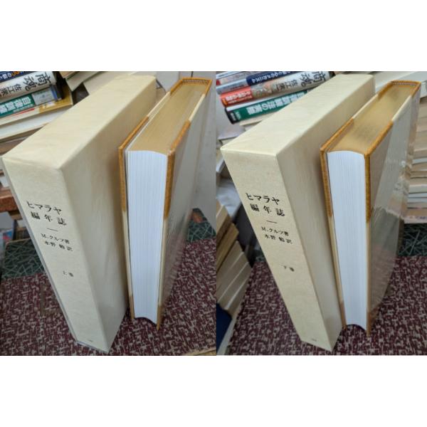 ok9bricks_25080900104