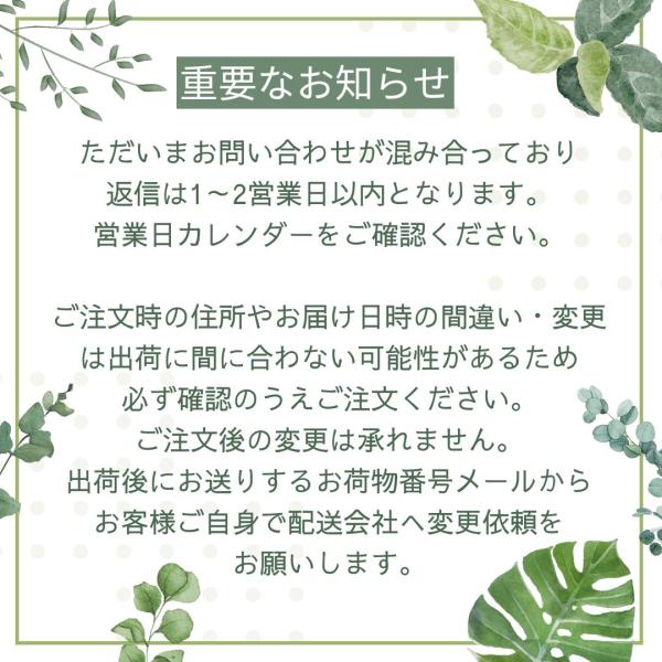 �ϗt�A��  ���ϐ� �f�R�W���� ���� 400g �I�ׂ� �u���b�N �S�[���h �� �� �c�� �}�b�g �c���Ȃ� ����� �� ���ύ��� �}���`���O ���A�� [�A���ւ��I�v�V����] ���i�摜5