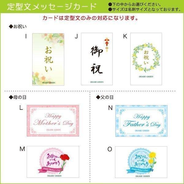 シェフレラ ホンコンカポック ５号 シックな茶色いかごｐｐライナー付き 観葉植物 おしゃれ お祝い プレゼント ギフト風水 種類一覧 Buyee Servis Zakupok Tretim Licom Buyee Pokupajte Iz Yaponii