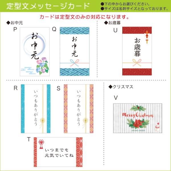 カラテア マコヤナ カラテア インシグニスとデザインの陶器 ゴシキヤバネショウ 観葉植物 おしゃれ お祝い プレゼント ギフト風水 種類一覧 鉢植え Buyee Buyee Japanischer Proxy Service Kaufen Sie Aus Japan