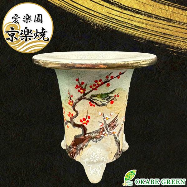 富貴蘭 鉢 京楽焼 鉢 おしゃれ 室内 窯元 愛楽園 鶯 うぐいす 1品1品