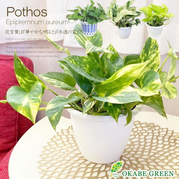 okabegreen_ps-157 okabegreen_ps-157