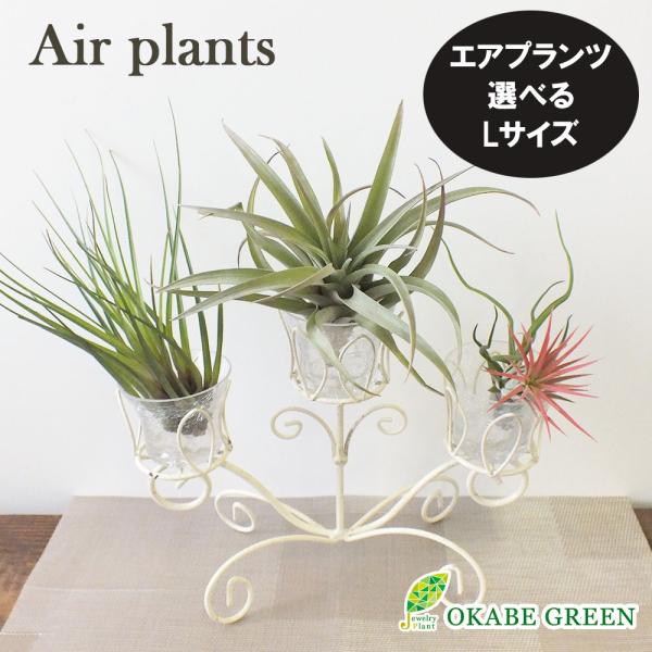 okabegreen_sm-607m-2