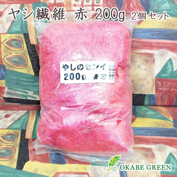 サンスベリアミニ ファンウッドパンク 現品 観葉植物 おしゃれ お祝い プレゼント ギフト風水 種類一覧 鉢植え Ss 154 6 Okabe Green 通販 Yahoo ショッピング