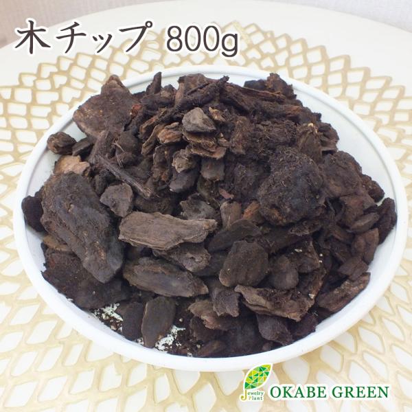サンスベリア ファーンウッドミカド モトムケニア パテンス ゴールド陶器 観葉植物 おしゃれ お祝い プレゼント ギフト風水 種類一覧 鉢植え 母の日 Ss 44 3 Okabe Green 通販 Yahoo ショッピング