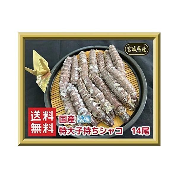 今となっては貴重な国産宮城県産の特大剥きシャコ！大きいサイズの子持ち7尾×2パックの合わせて14尾セットになります。高級料亭や寿司屋のみに卸売りしている商品です。こちらは冷凍になりますのでご了承ください。特殊な高火力釜で炊きあげて旨みを閉じ...