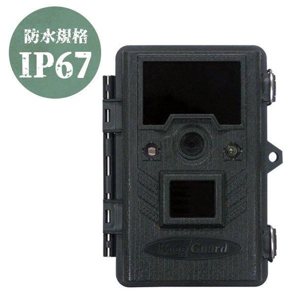 レバー 革新 名誉ある 動物 観察 カメラ ぜいたく 絶えず 分析