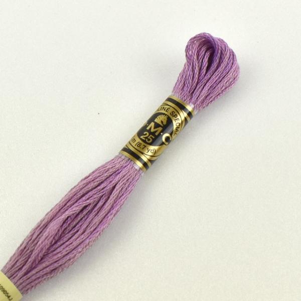 hイޗ DMC hJ 25 F209 06Bg99_